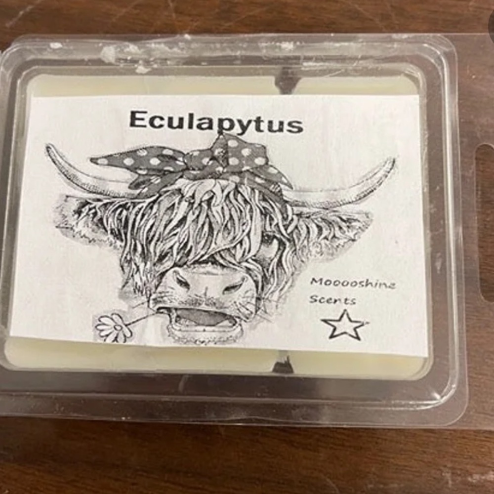 Eucalyptus Wax Bar Melt